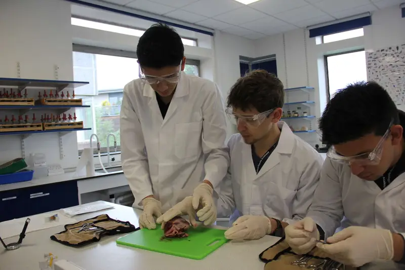 Oxford Royale Academy Cambridge Üniversitesi yaz okulu görseli 2
