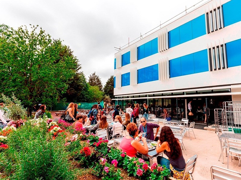 Stafford House CATS College Cambridge yaz okulu görseli 3