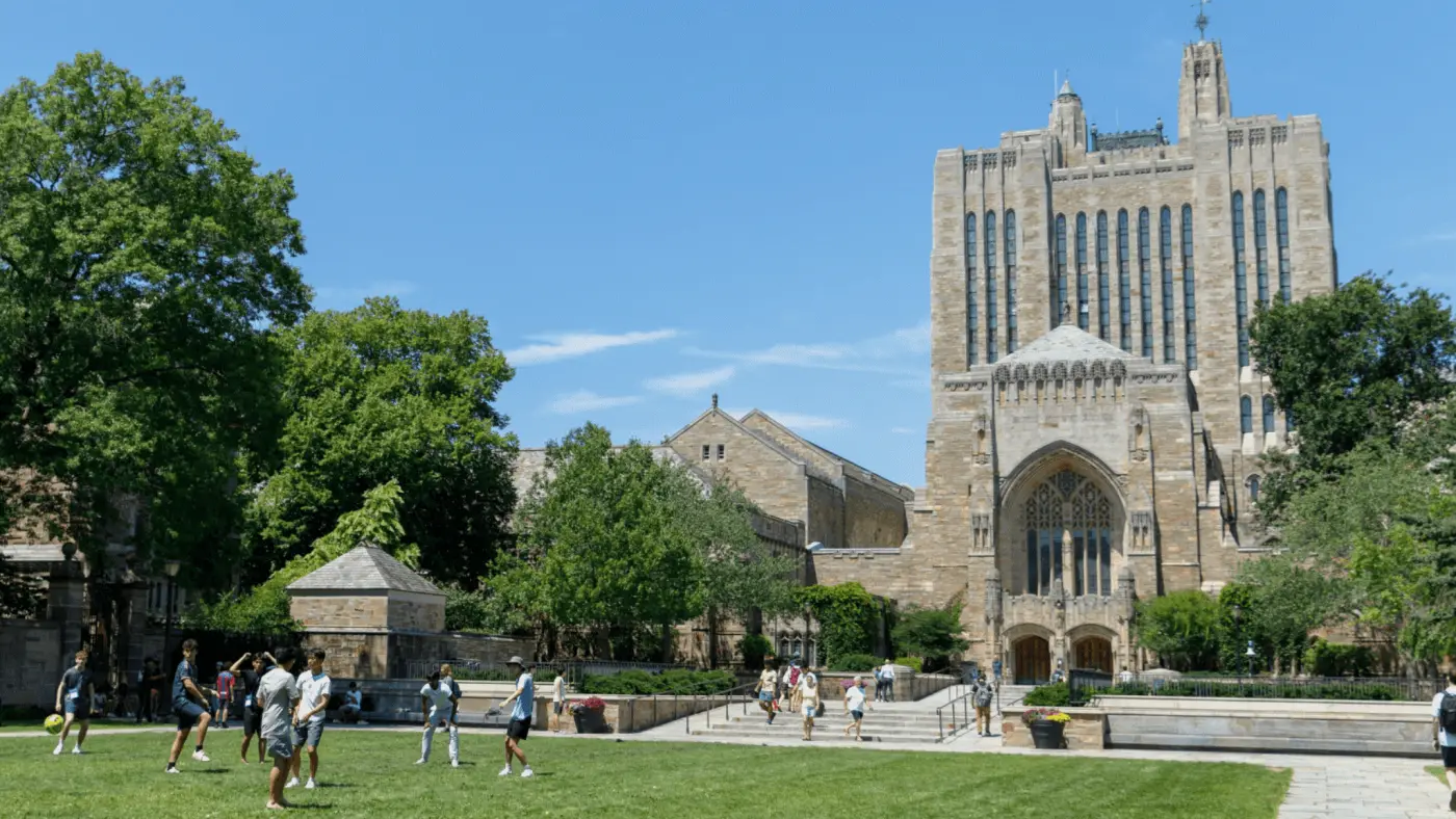 Summer Discovery Yale University program görseli