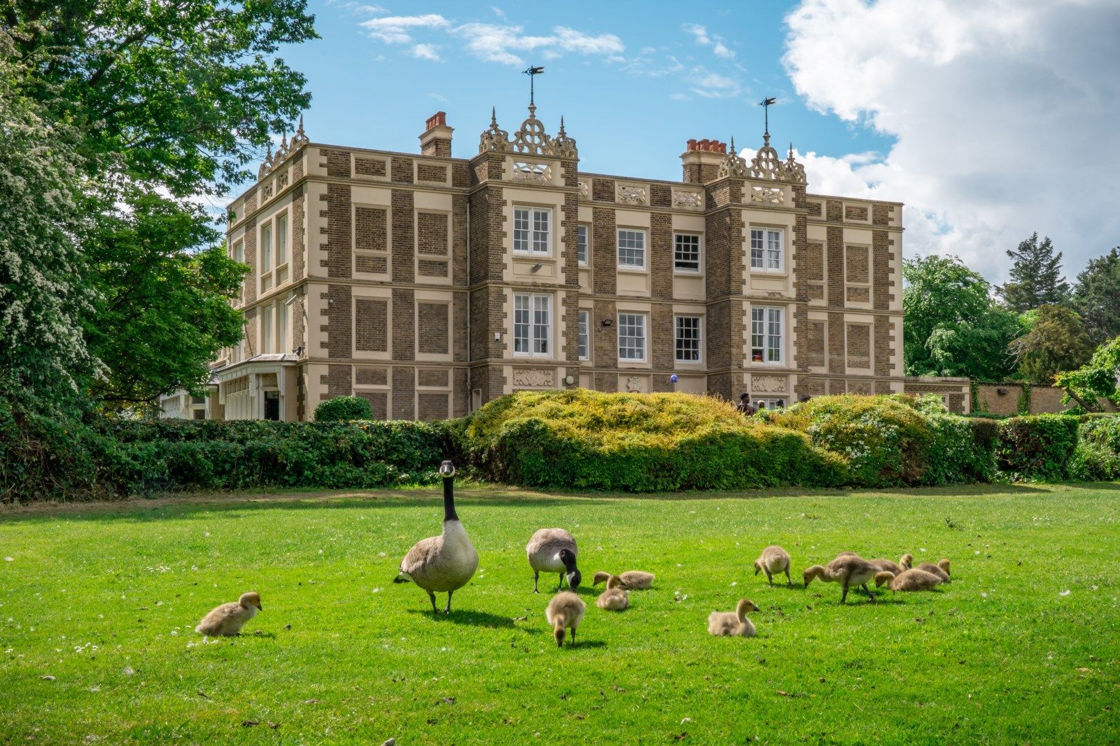 Emerald Rose Bruford College kampüs görseli 4