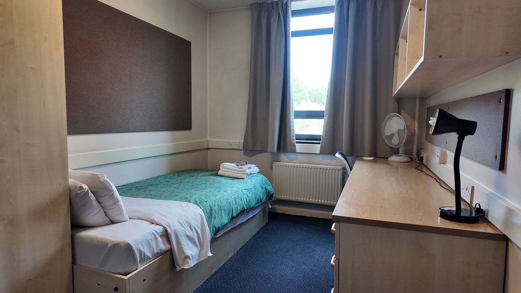 Kings Discover UoL yaz okulu görseli 3