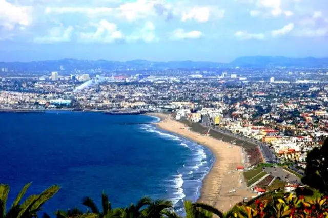 Tamwood International College UCLA Los Angeles program görseli