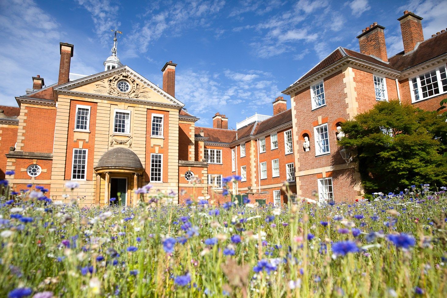 Immerse Education Oxford University yaz okulu görseli 3